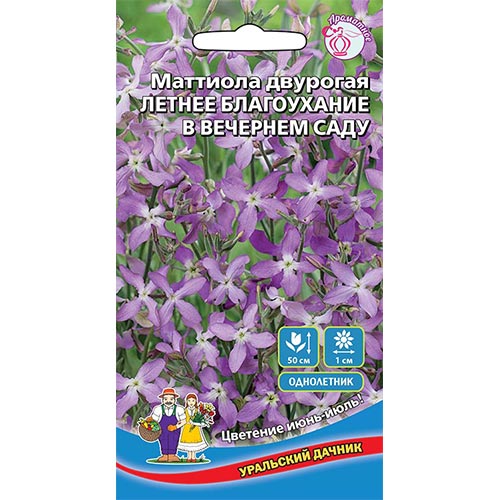 Маттиола двурогая Летнее Благоухание в вечернем саду Уральский дачник изображение 1 артикул 94828