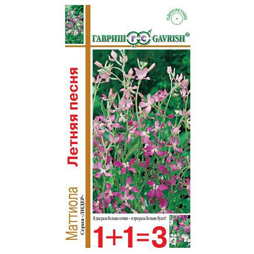 Маттиола двурогая Летняя песня Гавриш изображение 1 артикул 92153