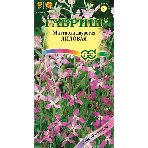 Маттиола двурогая Лиловая Гавриш изображение 1 артикул 92154