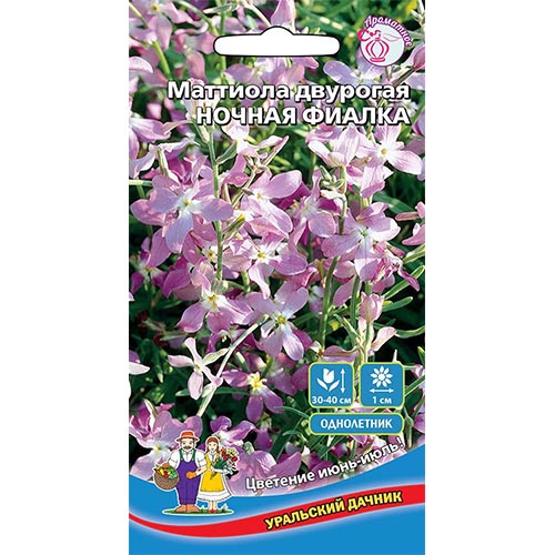 Маттиола двурогая Ночная фиалка Уральский дачник изображение 1 артикул 94829