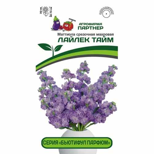 Маттиола срезочная махровая Бьютифул Парфюм Лайлек Тайм Партнер артикул фото 1 Маттиола срезочная махровая Бьютифул Парфюм Лайлек Тайм Партнер изображение 1 артикул 40814
