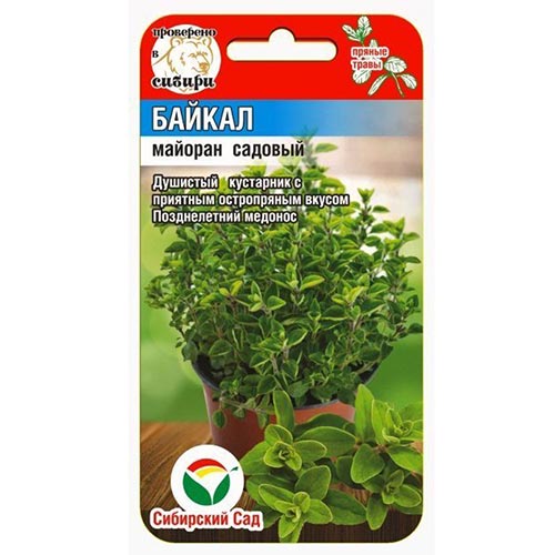 Майоран садовый Байкал Сибирский сад изображение 1 артикул 94360