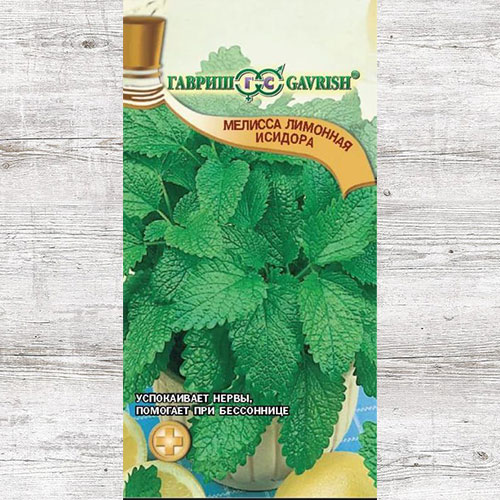 Мелисса лекарственная Исидора Гавриш изображение 1 артикул 82200