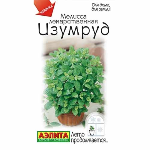 Мелисса лекарственная Изумруд Аэлита изображение 1 артикул 40095