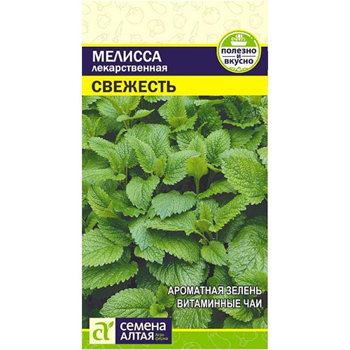 Мелисса лекарственная Свежесть Семена Алтая изображение 1 артикул 78001