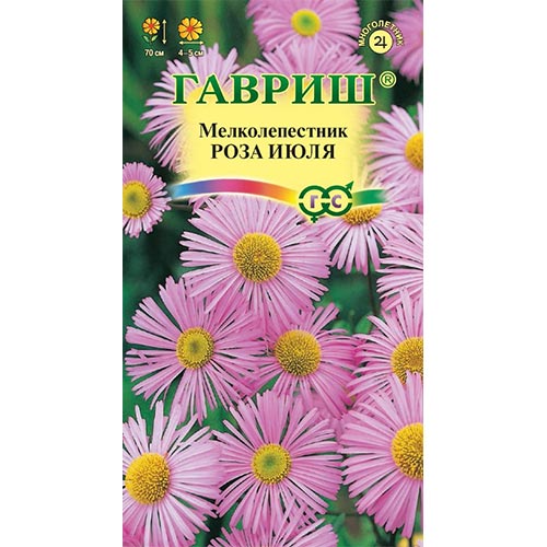 Мелколепестник Роза июля Гавриш изображение 1 артикул 92155