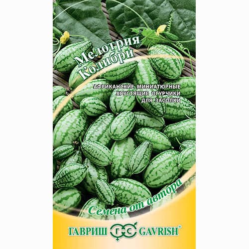 Мелотрия Колибри Гавриш изображение 1 артикул 65254