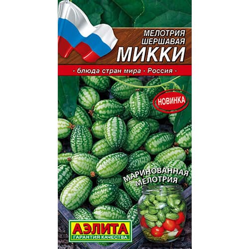 Мелотрия Микки Аэлита изображение 1 артикул 98335