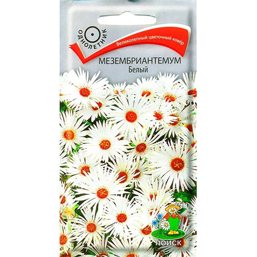 Мезембриантемум Белый Поиск изображение 1 артикул 93048