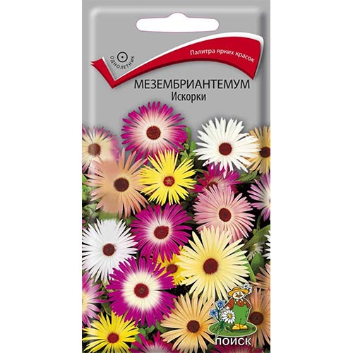 Мезембриантемум Искорки, смесь окрасок Поиск изображение 1 артикул 93049