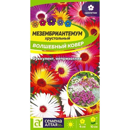 Мезембриантемум Волшебный ковер, смесь окрасок Семена Алтая изображение 1 артикул 78183