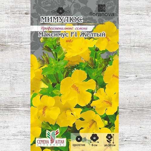 Мимулюс Максимус желтый F1  артикул фото 1 Мимулюс Максимус желтый F1  изображение 1 артикул 81696