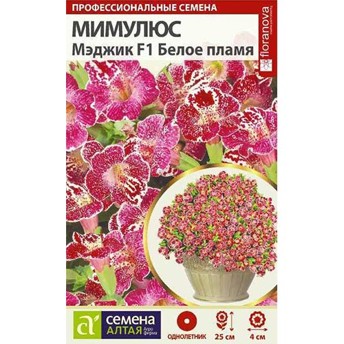Мимулюс Мэджик Белое пламя F1 Семена Алтая изображение 1 артикул 78160