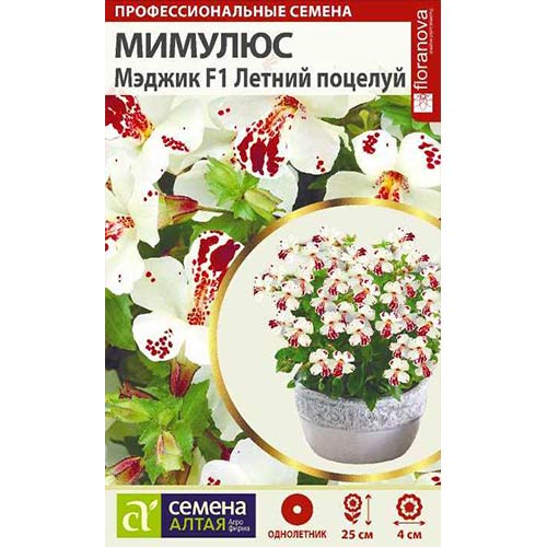 Мимулюс Мэджик Летний поцелуй F1 Семена Алтая артикул фото 1 Мимулюс Мэджик Летний поцелуй F1 Семена Алтая изображение 1 артикул 81699