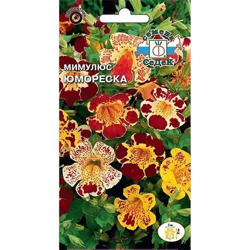 Мимулюс Юмореска, смесь окрасок Седек изображение 1 артикул 93904