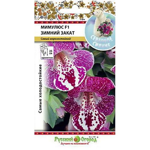 Мимулюс Зимний закат F1 НК изображение 1 артикул 92573