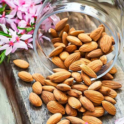 Миндаль Карамель изображение 1 артикул 7011