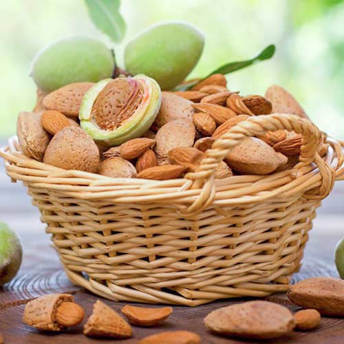 Миндаль Прибрежный изображение 1 артикул 4205