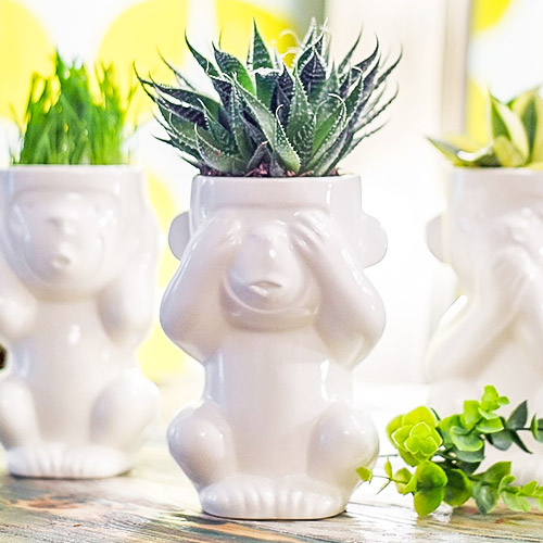 Мини-кашпо Обезьянка Слепыш изображение 2 артикул 74991