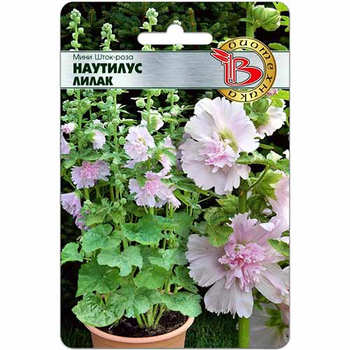 Шток-роза мини Наутилус Лилак Биотехника изображение 1 артикул 74094