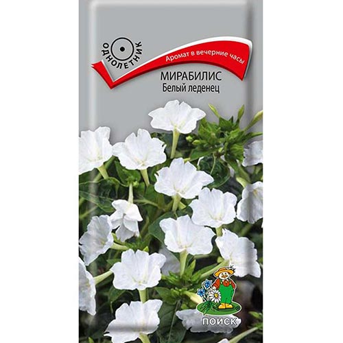 Мирабилис Белый леденец Поиск изображение 1 артикул 93050