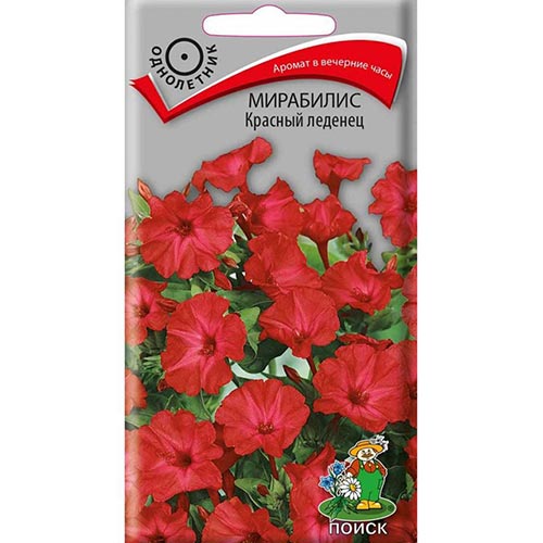 Мирабилис Красный леденец Поиск изображение 1 артикул 93053