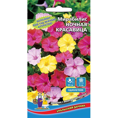 Мирабилис Ночная красавица, смесь окрасок Уральский дачник изображение 1 артикул 94830