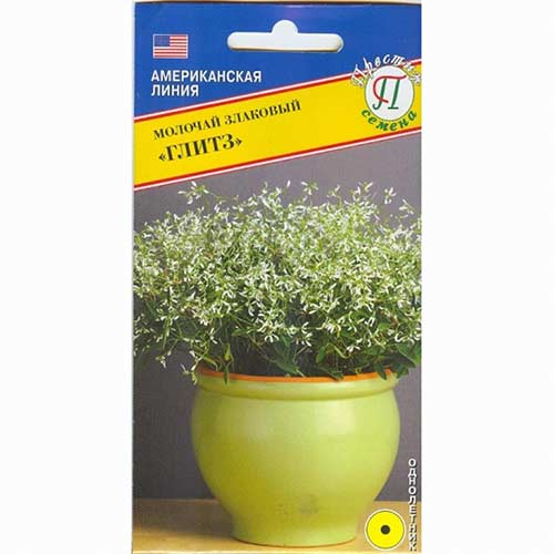 Молочай Глитз F1 Престиж изображение 1 артикул 71484