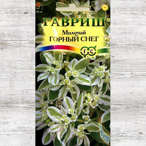 Молочай Горный снег Гавриш изображение 1 артикул 71206