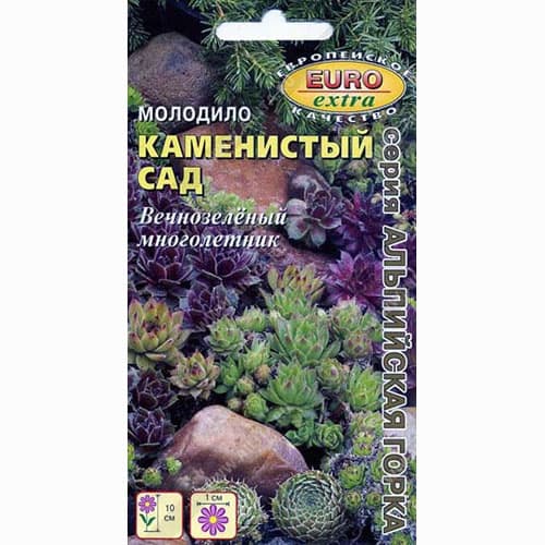 Молодило Каменистый сад, смесь окрасок Аэлита изображение 1 артикул 99006