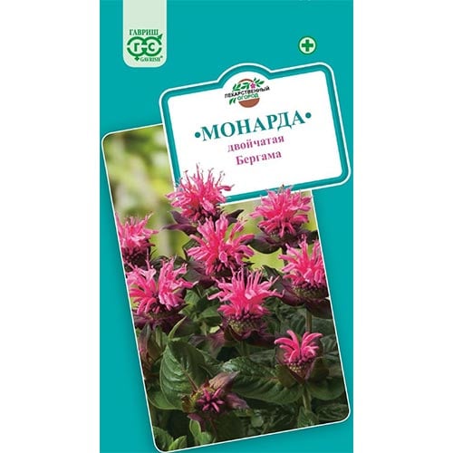 Монарда Бергама Гавриш изображение 1 артикул 92160