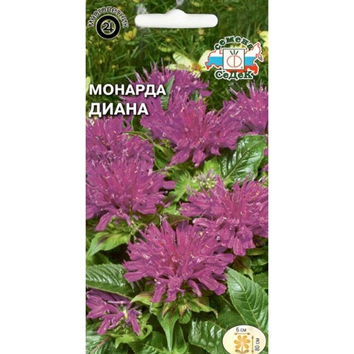 Монарда лимонная Диана Седек изображение 1 артикул 93907