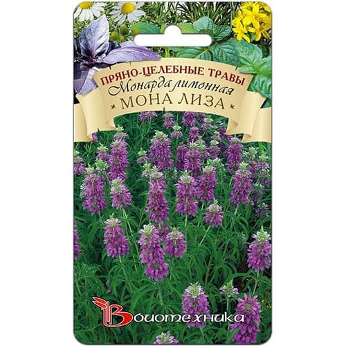 Монарда лимонная Мона Лиза изображение 1 артикул 91592