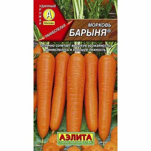 Морковь Барыня Аэлита артикул фото 1 Морковь Барыня Аэлита изображение 1 артикул 40101