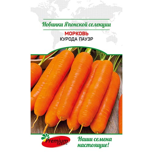 Морковь Курода Пауэр Premium Seeds изображение 1 артикул 93187