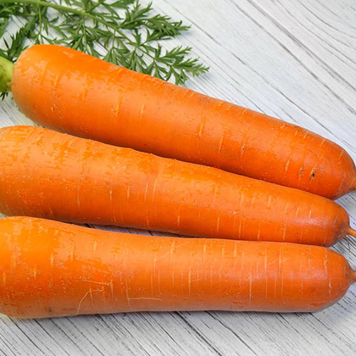 Морковь Ноу флай F1 Premium Seeds изображение 1 артикул 83775