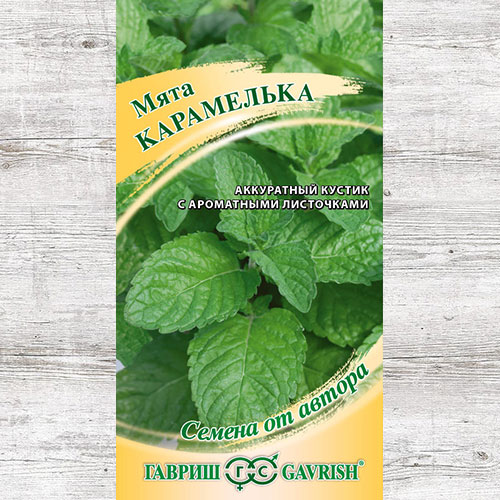 Мята садовая Карамелька Гавриш изображение 1 артикул 73936