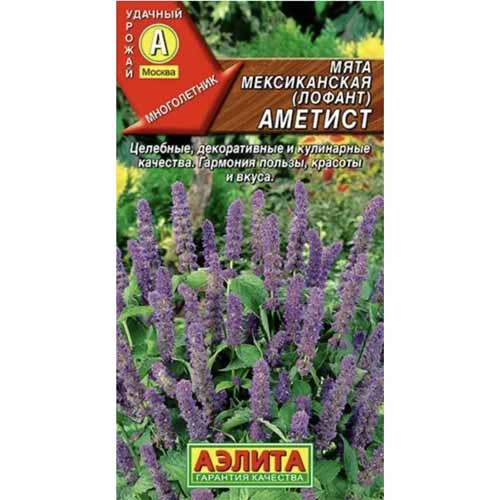 Мята мексиканская Аметист Аэлита изображение 1 артикул 40113