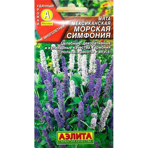 Мята мексиканская Морская симфония Аэлита артикул фото 1 Мята мексиканская Морская симфония Аэлита изображение 1 артикул 98380