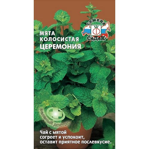 Мята садовая Церемония колосистая Седек изображение 1 артикул 93448