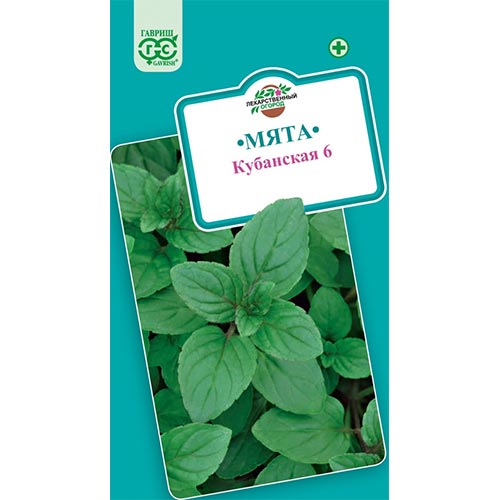 Мята садовая Кубанская Гавриш изображение 1 артикул 91764