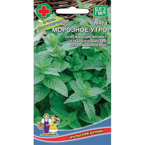 Мята садовая Морозное утро Уральский дачник изображение 1 артикул 94586