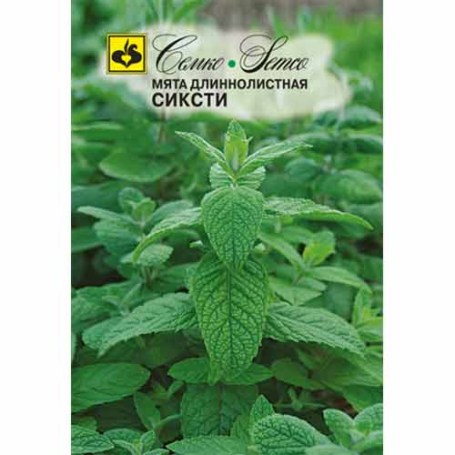 Мята длиннолистная Сиксти Семко изображение 1 артикул 94257