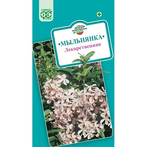 Мыльнянка Гавриш изображение 1 артикул 92163