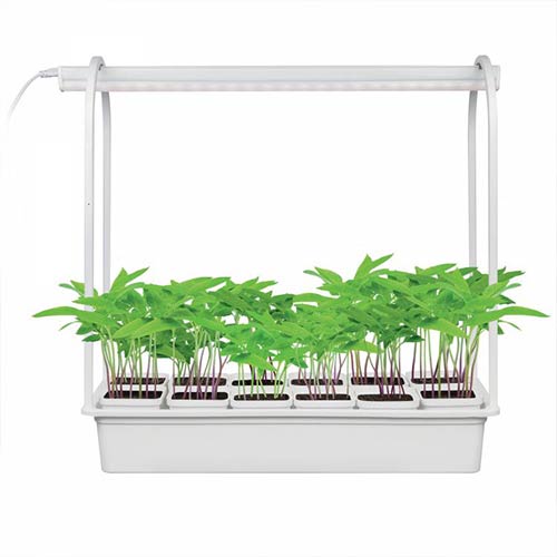 Набор Минисад для растений изображение 1 артикул 83367