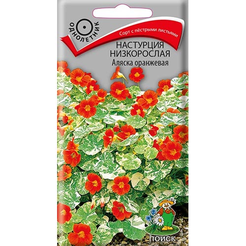 Настурция Аляска оранжевая Поиск изображение 1 артикул 93058