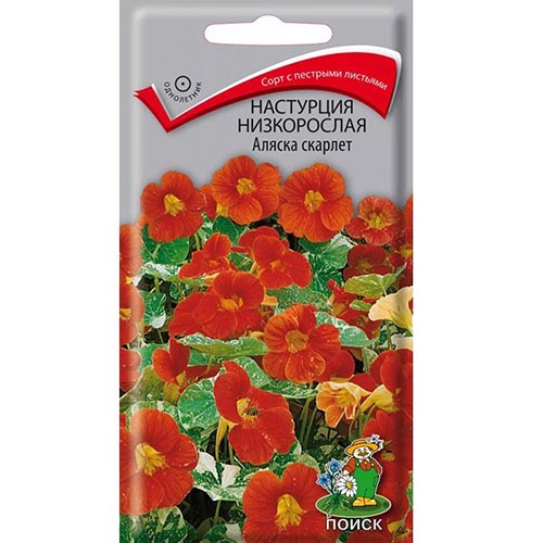 Настурция Аляска Скарлет Поиск изображение 1 артикул 93059