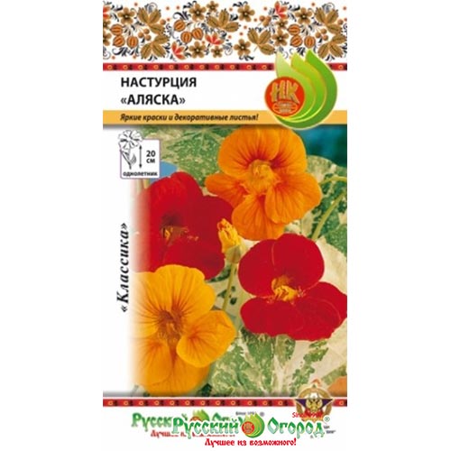 Настурция Аляска, смесь окрасок НК изображение 1 артикул 92579