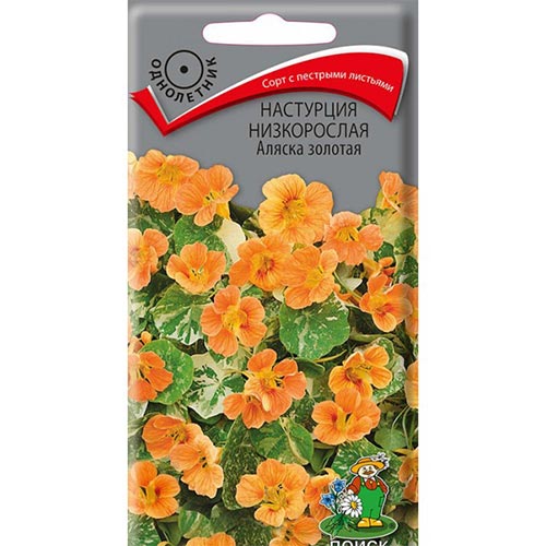 Настурция Аляска золотая Поиск изображение 1 артикул 93057