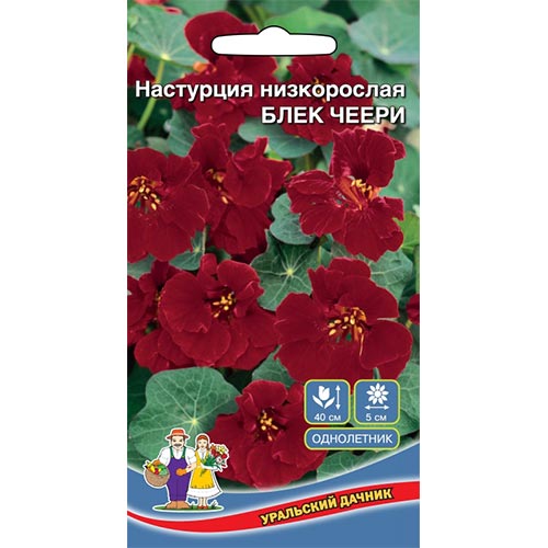 Настурция Блек черри Уральский дачник изображение 1 артикул 94832